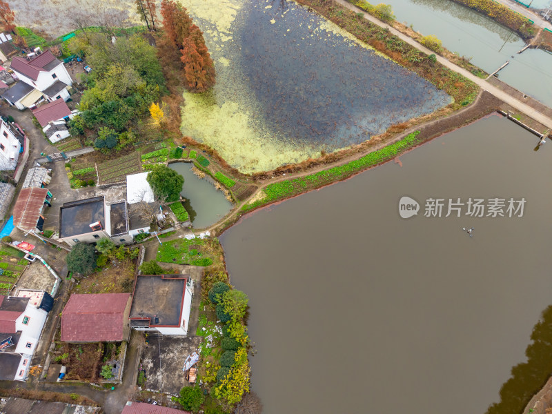 农村田园秋季风景