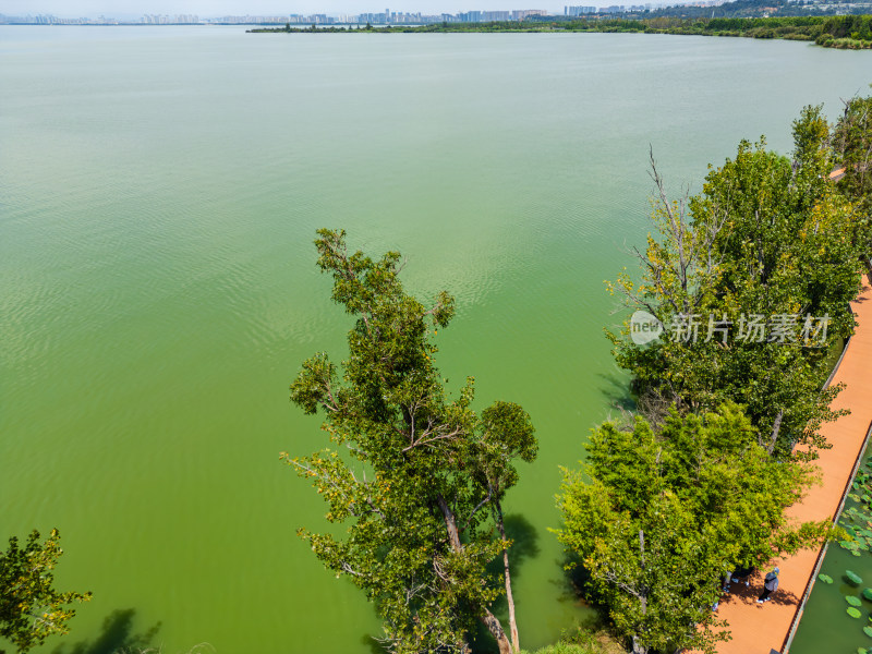 航拍昆明滇池捞鱼河湿地公园景观