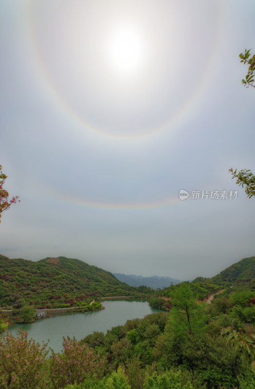 宁波余姚四明山樱花日晕环地平弧