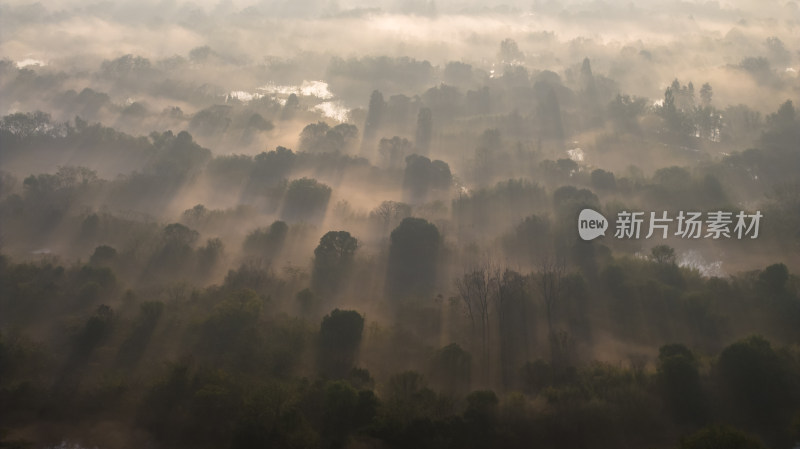 中国杭州西溪湿地云雾缭绕唯美水墨画
