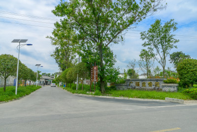 乡村景象乡间道路乡村振兴