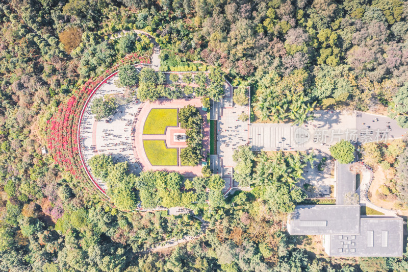 黄昏时刻深圳市莲花山公园航拍城市风光