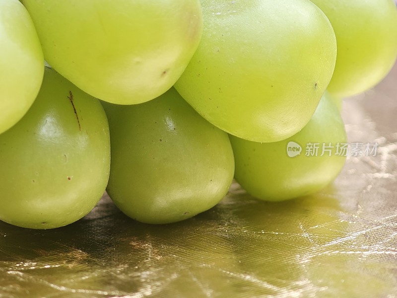 青提特写展示果实饱满的青提近景