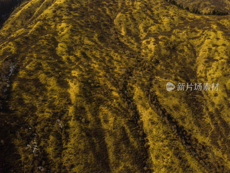 航拍冬季的森林滑雪场