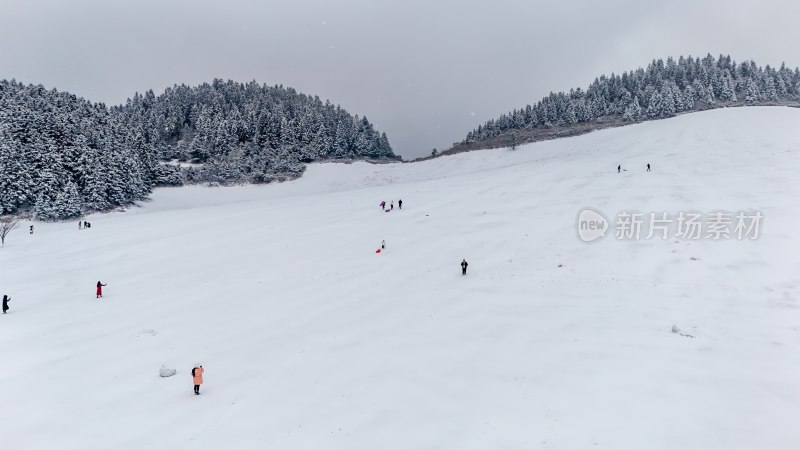 重庆酉阳：大雪纷飞赏雪忙