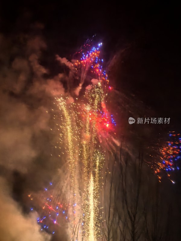 绚烂多彩的烟花在夜空中绽放