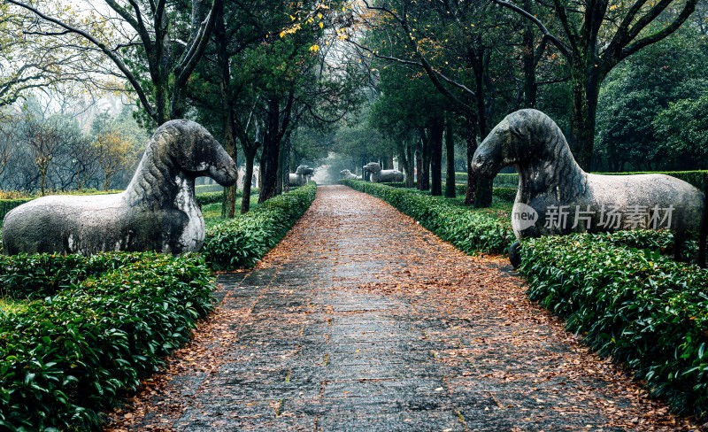 秋日石象景观小道雨中明孝陵