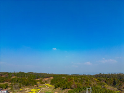 农田油菜花美丽乡村航拍摄影图