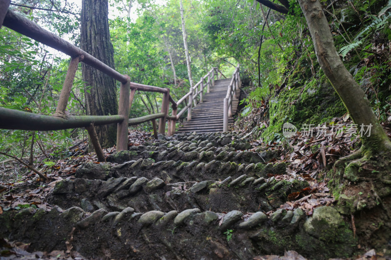 通往山顶的石阶