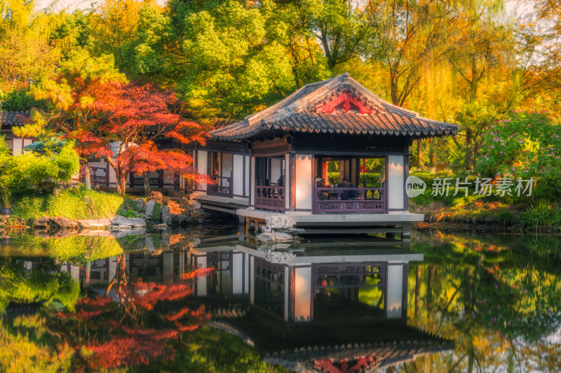 湖州莲花庄园林秋天湖泊枫叶景观