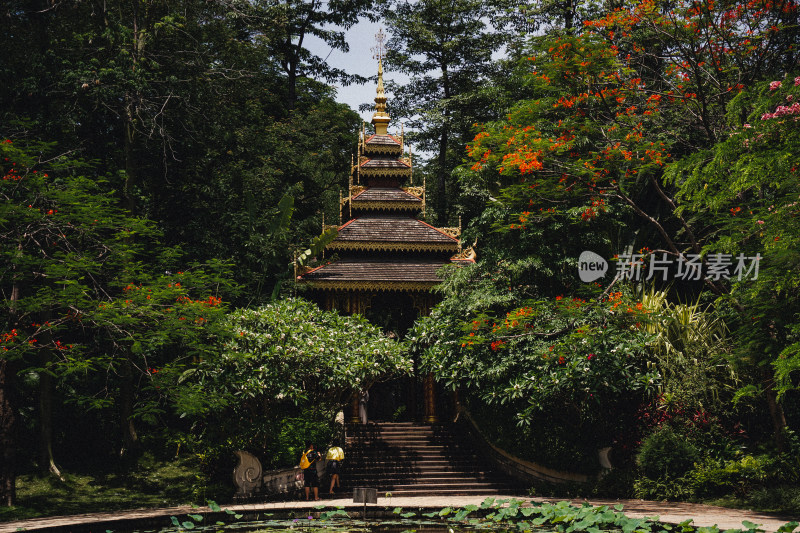 西双版纳曼听御花园景区