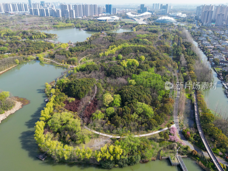 航拍苏州昆山市城市生态森林公园