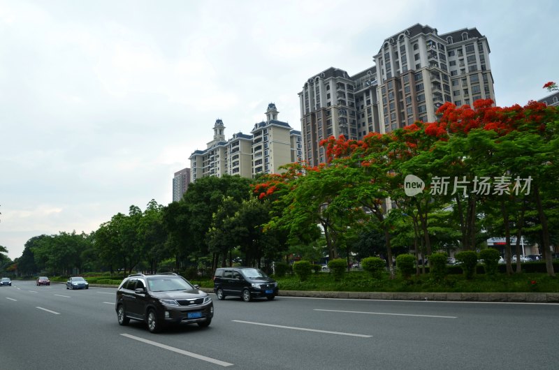 广东东莞：塘厦镇城市风光