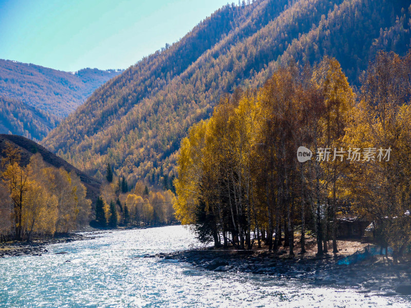 喀纳斯河风景