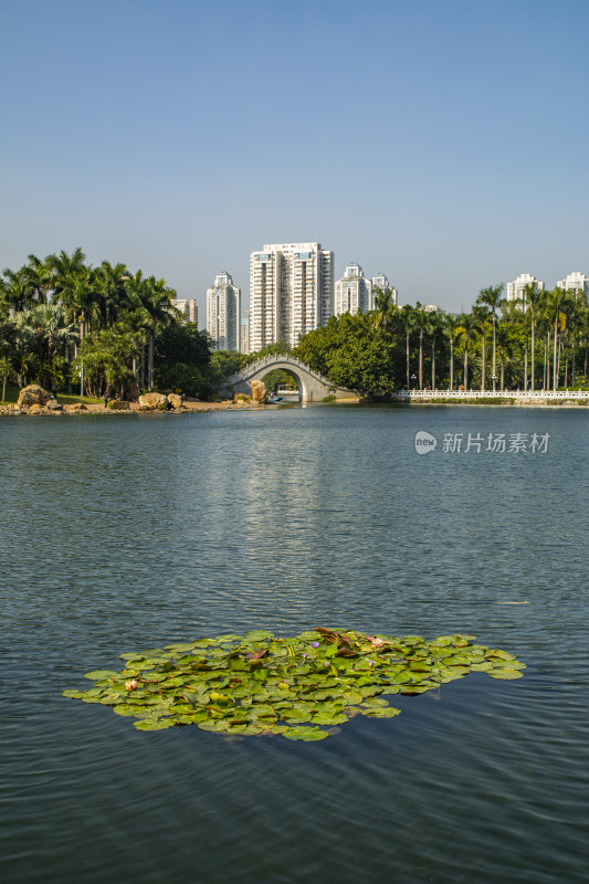 深圳城市环境