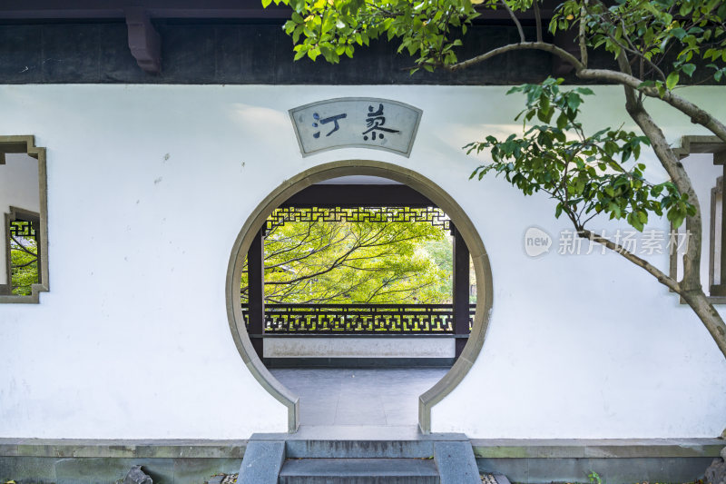 杭州西湖风景区曲院风荷风景