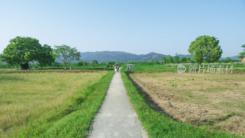 杭州良渚古城遗址