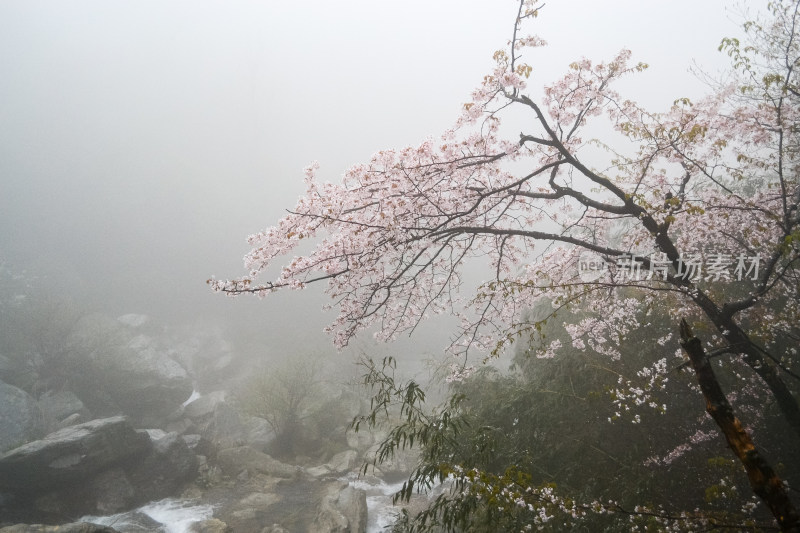 庐山风景区