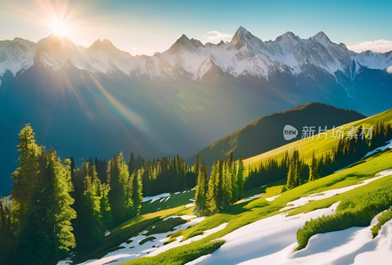 雪山草原森林风景