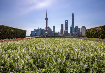 上海外滩外白渡桥陆家嘴黄浦江城市景观