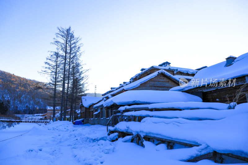 冬季东北雪地自然风光