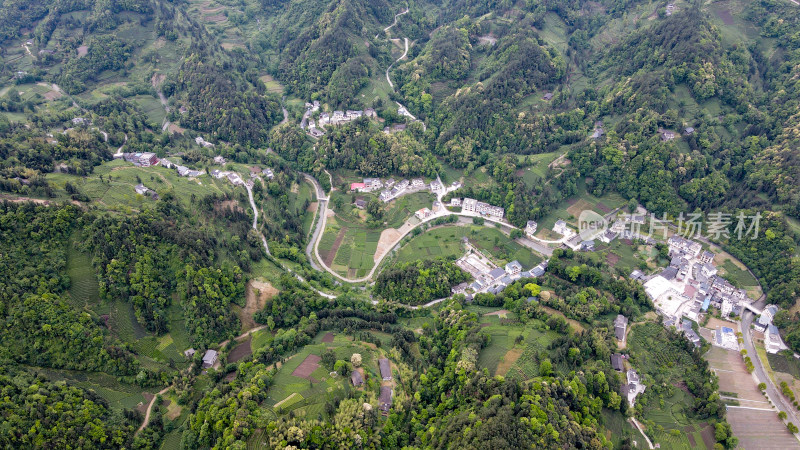 大山山峰农村农业农民茶园