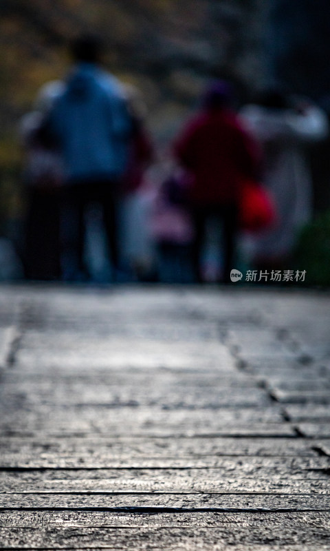 游客参观南京明孝陵石象路神道石像古迹场景