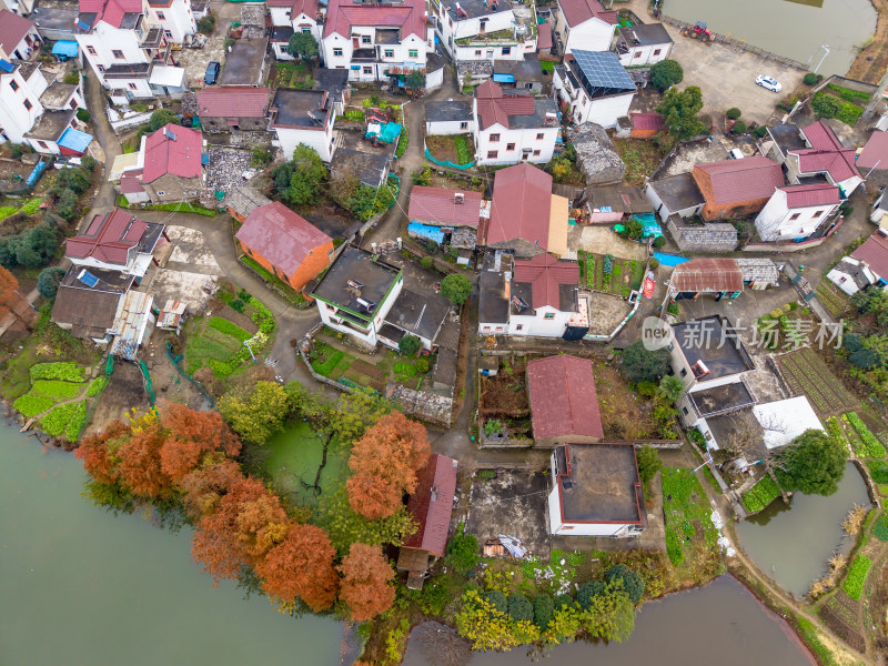 农村田园秋季风景