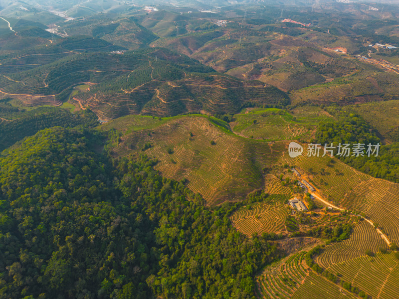 航拍山脉山林