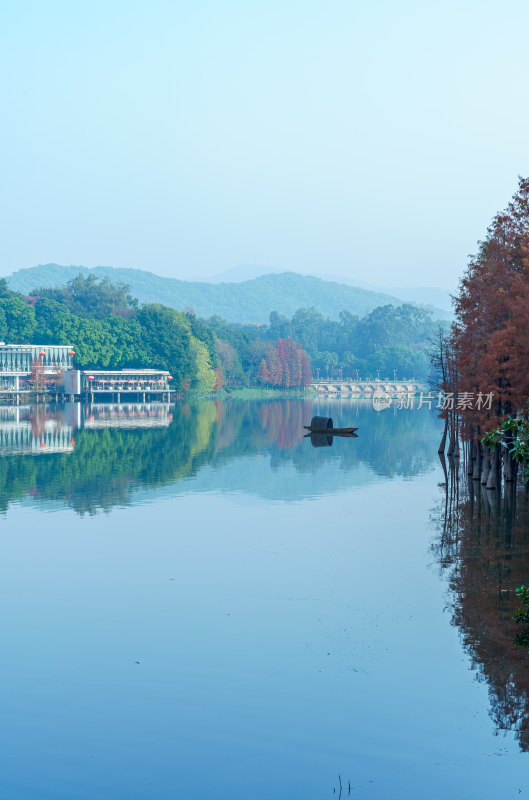 广州麓湖公园湖光山色落羽杉红叶自然风光