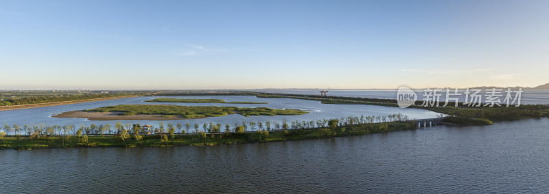 杭州钱塘大湾区湿地公园清晨风光