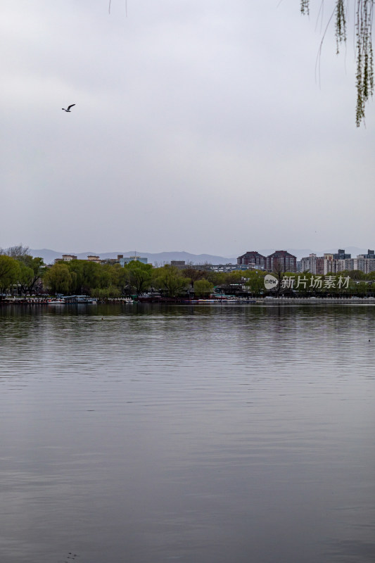 北京什刹海后海公园景点景观