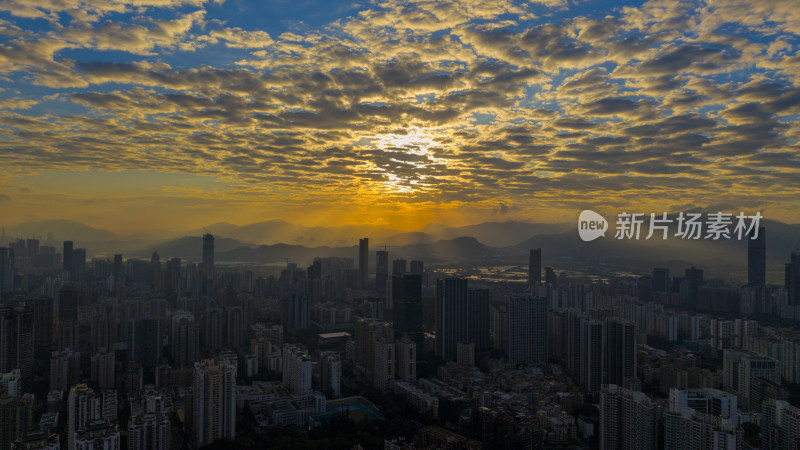 深圳早晨风景