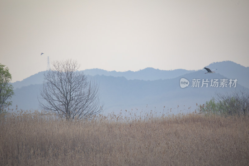 杭州余杭南湖生态环境风光