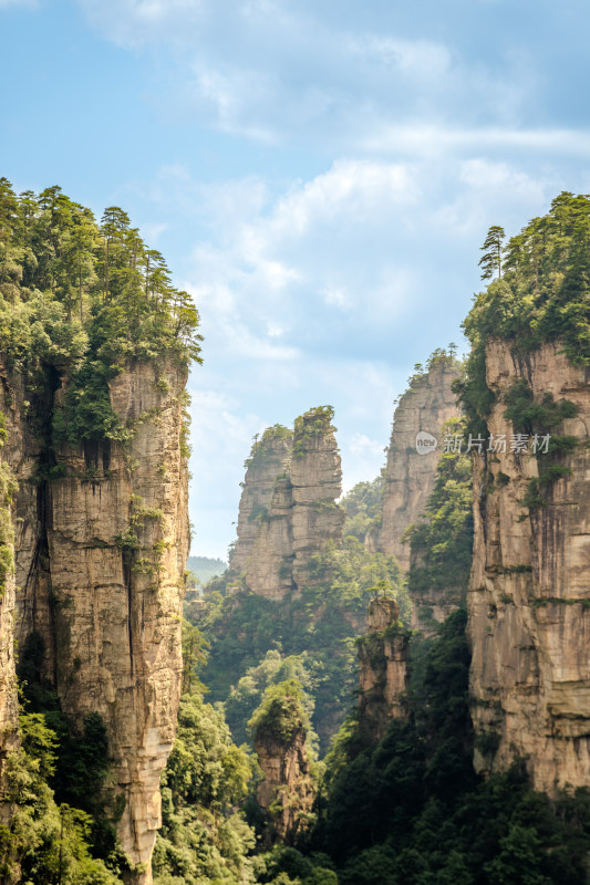 中国湖南张家界景区奇特山峰与茂密森林