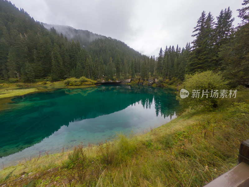 静谧的森林与湖景