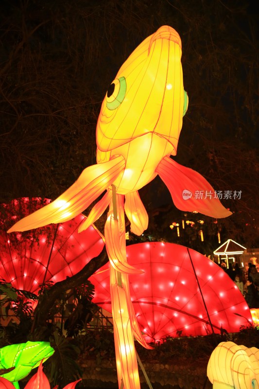 大型鱼形彩灯点亮节日夜景