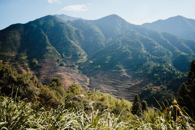 上饶篁岭