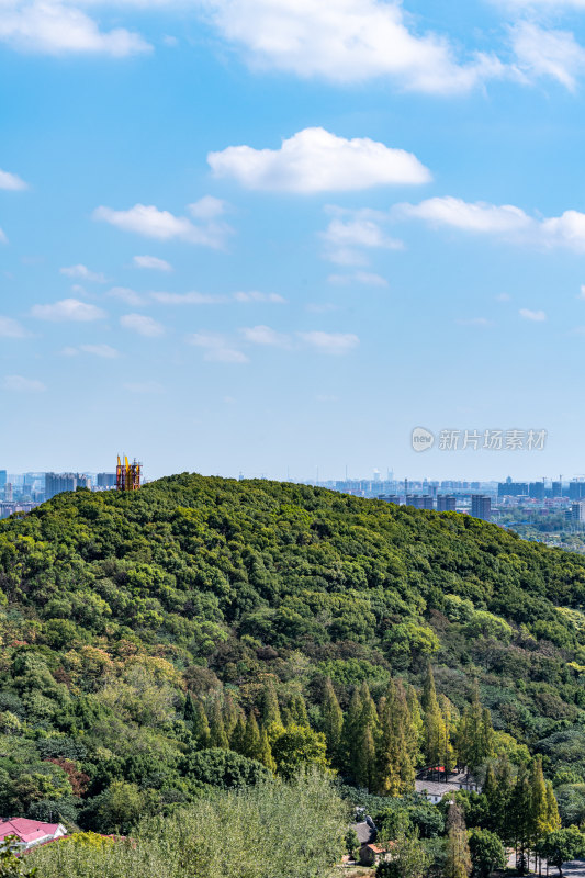 上海松江佘山森林公园自然建筑景观