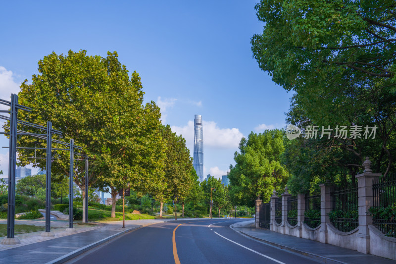 上海城市风光现代都市上海中心大厦