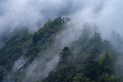 农村景象