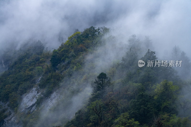 农村景象