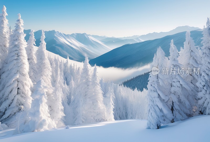 冬季森林白雪覆盖风景