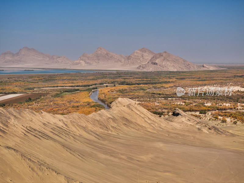 胡杨林美景