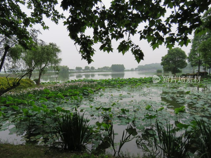 江苏无锡太湖鼋头渚风景区