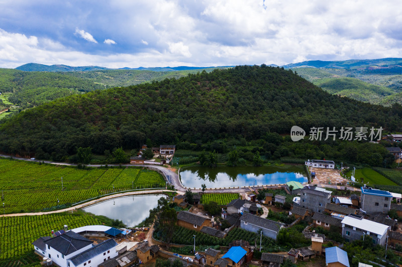 楚雄南华县雨露乡