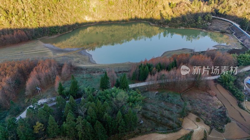 重庆酉阳：天山堡水杉红似火