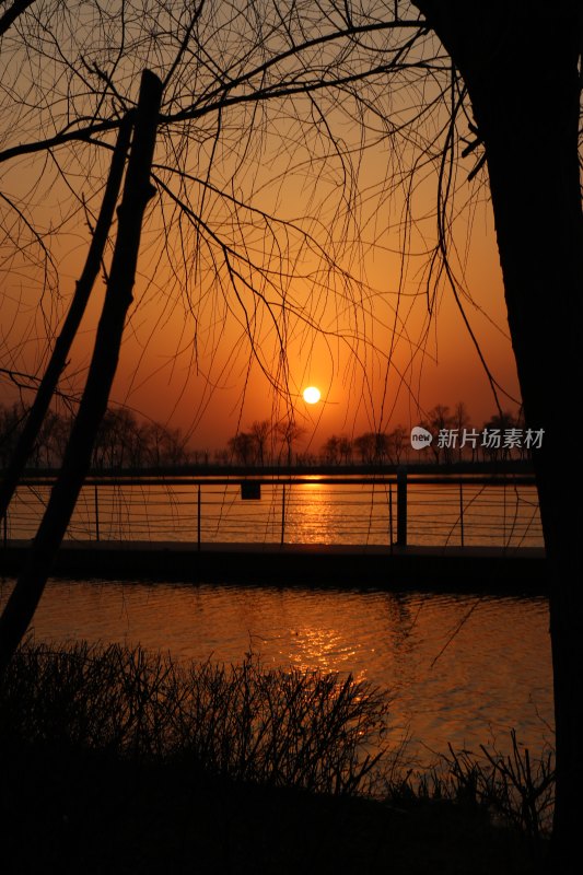 湖畔夕阳垂柳风景