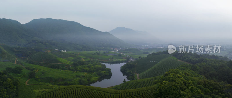 杭州西湖区龙井产地龙坞茶园