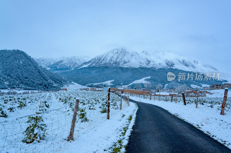 青海海北藏族自治州祁连卓尔山乡村公路雪景